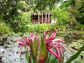Lotus Village