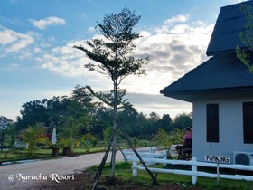 Naracha Resort