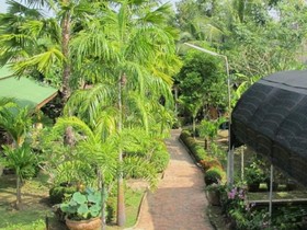 Orchid Hibiscus Guest House