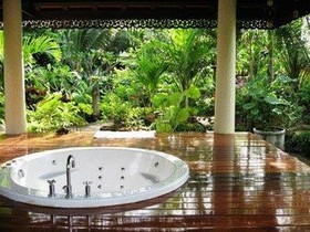 Orchid Hibiscus Guest House