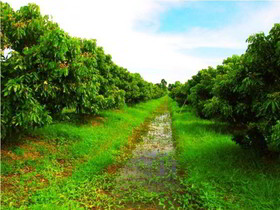 Therdthai Farm Boutique Hotel