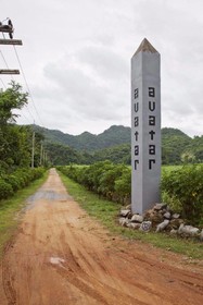 Avatar Miracles Hotel