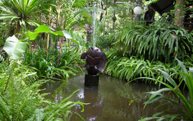 Huai Kha Khaeng Country Home Resort