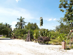 Cowboy Farm Resort Pattaya