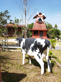 Cowboy Farm Resort Pattaya