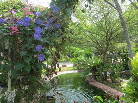 Cowboy Farm Resort Pattaya