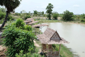 Freddie's Fishing Park
