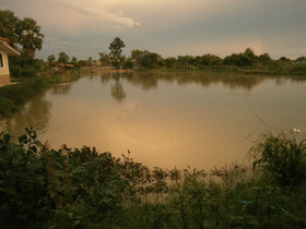 Freddie's Fishing Park