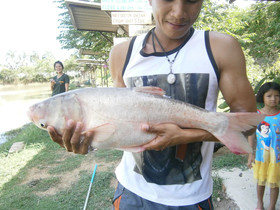 Freddie's Fishing Park