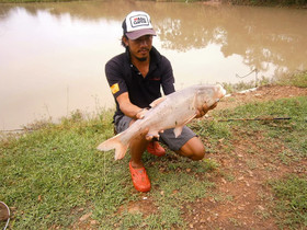 Freddie's Fishing Park