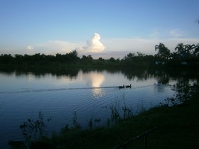 Freddie's Fishing Park