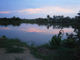 Freddie's Fishing Park