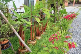 HomeMi Houses Homestay