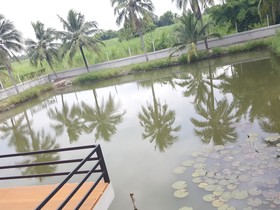 Narasiri