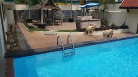 Baan ViewBor Pool Villa
