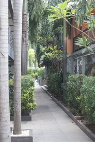 Momento Resort