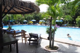 Palm Garden