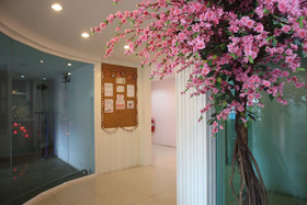 Pintree Service Apartment Pattaya