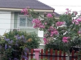 Tippawan Resort