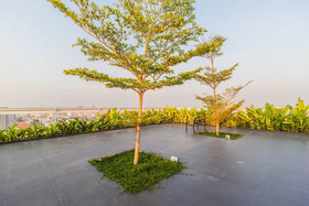 Treetop Apartment By Pattaya Sunny Rentals
