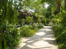 Bangtao Beach Chalet