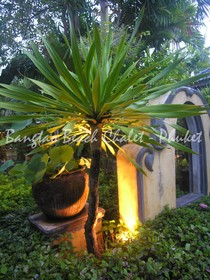 Bangtao Beach Chalet