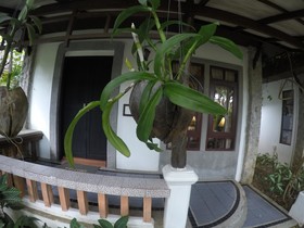 Bangtao Beach Chalet