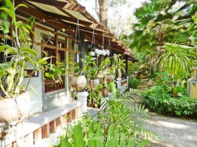 Bangtao Beach Chalet