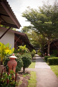 Phuket Siam Hostel