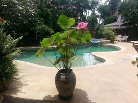 Shanti Lodge Phuket