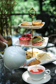 Akra Collection Layan