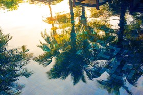 The Chava Resort