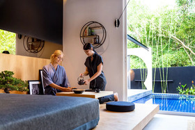 Zen Studio Suite by Holiplanet