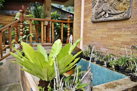 Baan SS Karon