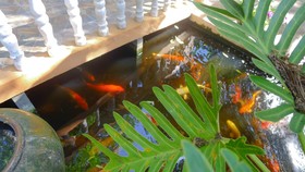 Garden Home Kata