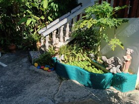 Kata Leaf Resort