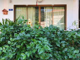 Sanguanporn Apartment