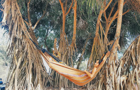 The Camp Hostel Phuket