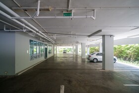 The Palm at Karon Hill by Lofty
