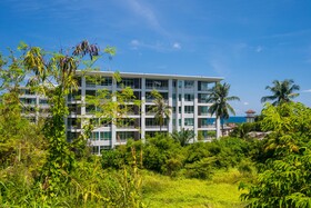 The Palm at Karon Hill by Lofty
