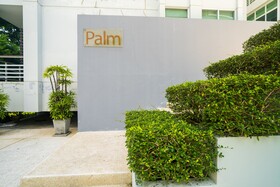 The Palm at Karon Hill by Lofty