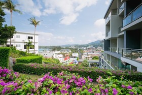 Sugar Palm Grand Hillside