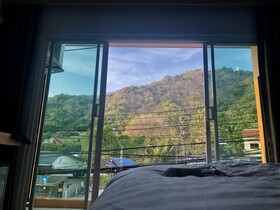 Tall Tree Poshtel Phuket - Hostel