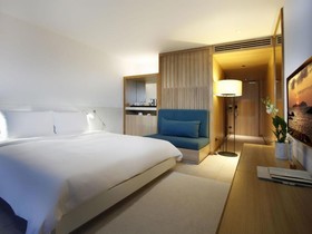 The Nap Patong