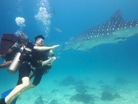 Racha Island Resort
