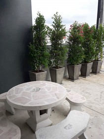 Kim Lung Airport Hotel