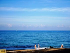 Micky Monkey Beach