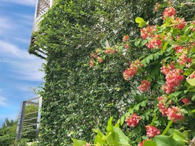 Ideo Phuket Hotel