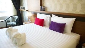 Alexander Hotel Patong