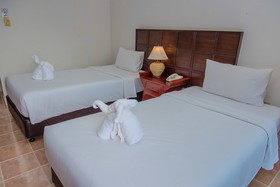 Amata Patong